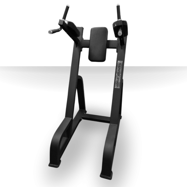 Elevación Vertical de Pierna Dip and Knee Raise Station 1036