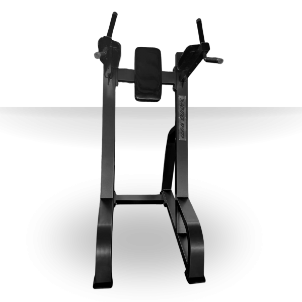 Elevación Vertical de Pierna Dip and Knee Raise Station 1036 - Imagen 3