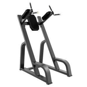 Elevación Vertical de Pierna Dip and Knee Raise Station 1036