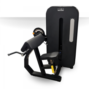Curl De Bíceps y Triceps 1057
