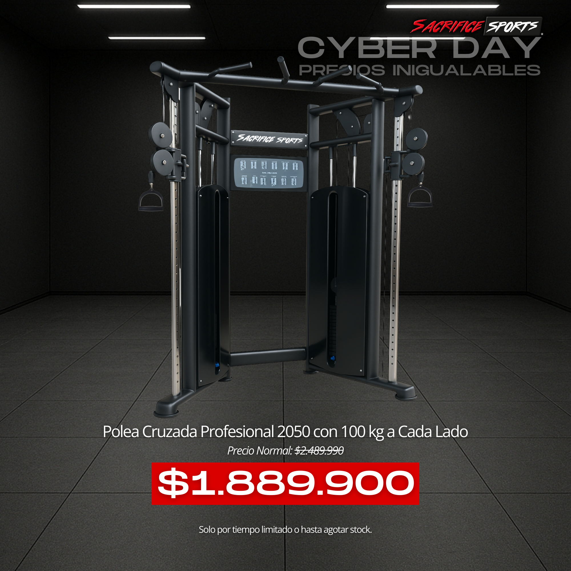 Polea Cruzada Profesional 2050