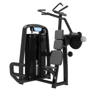 Dorsalera Vertical 2035