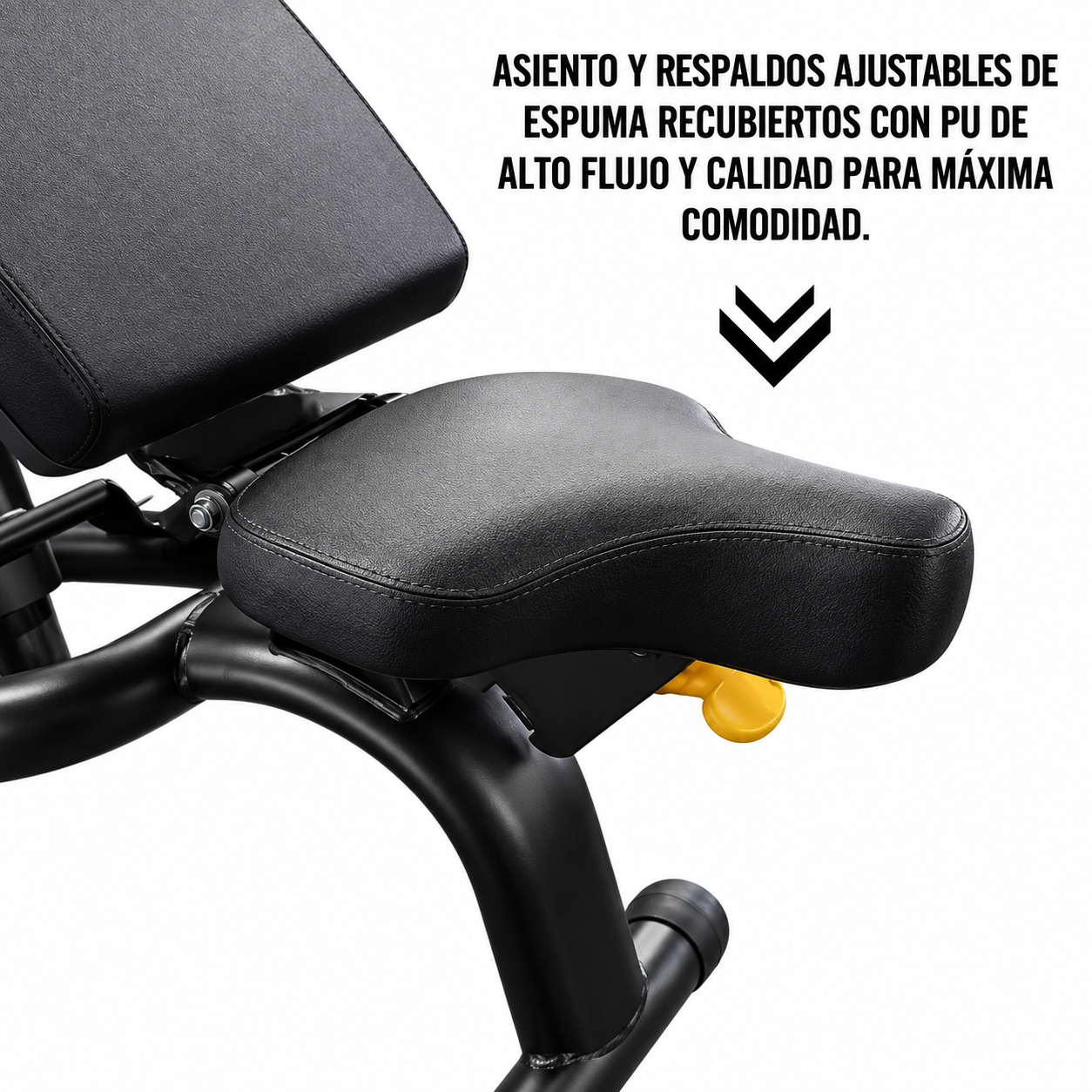 Banco Ajustable 2025 - Imagen 5