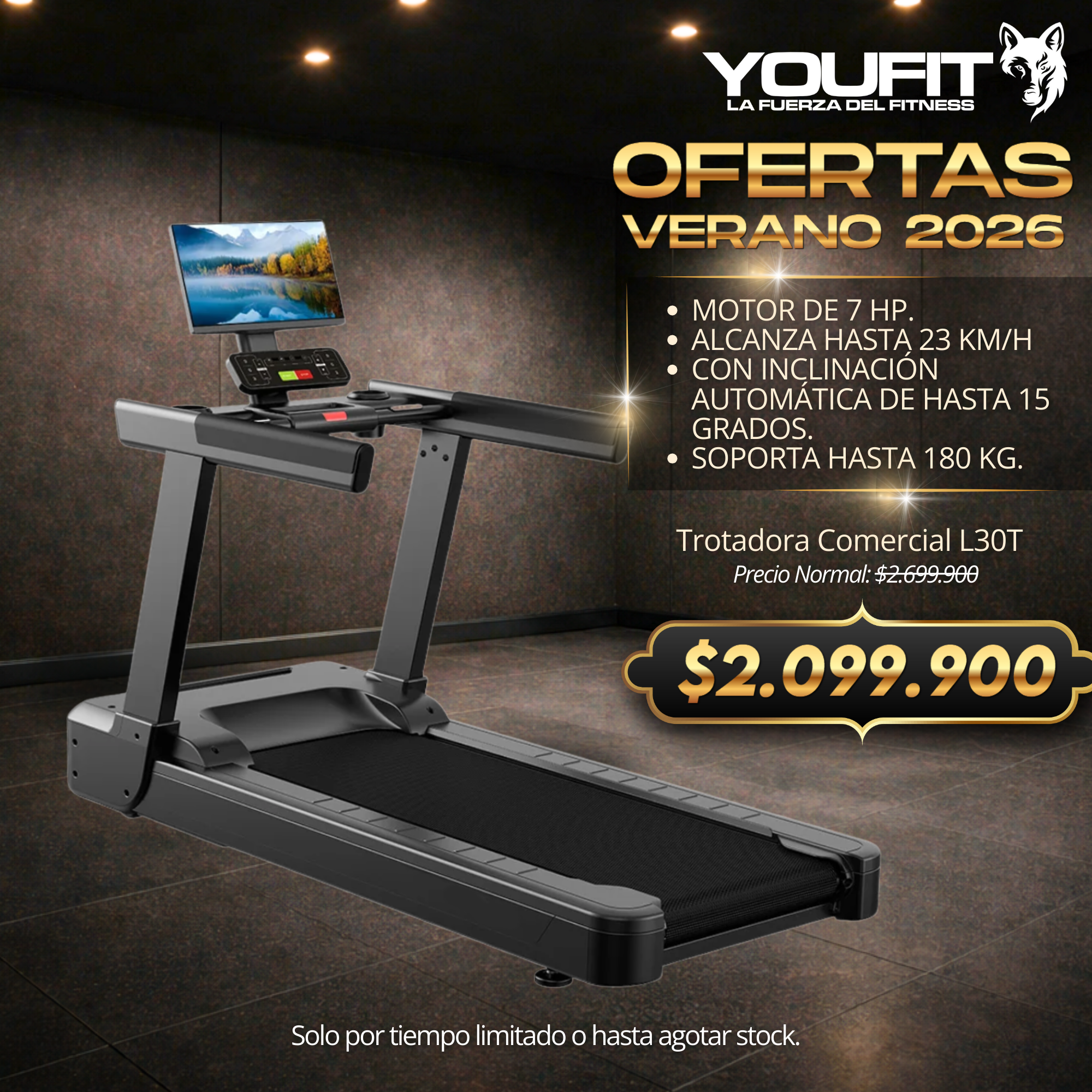 Trotadora Comercial L30T
