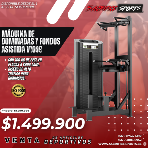 Máquina de Dominadas y Fondos Asistida V1009
