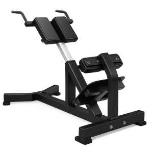 Banco de Extensión de Espalda 6011