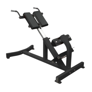 Banco de Extensión de Espalda 6011