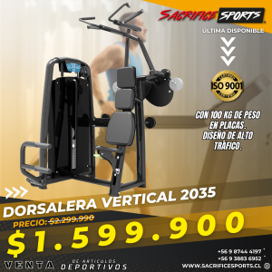 Dorsalera Vertical 2035