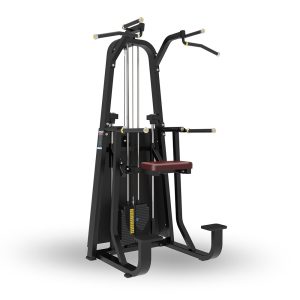 Máquina de Dominadas y Fondos Asistidas 1009
