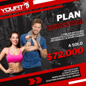 Plan Trimestral Gimnasio Youfit
