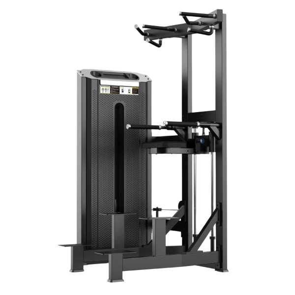 Máquina de Dominadas y Fondos Asistida V1009