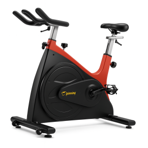 Spinning Bike D01