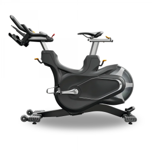 Bicicleta Spinning Magnética Profesional D06