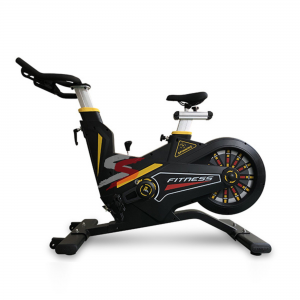 Bicicleta Spinning Magnética D-07