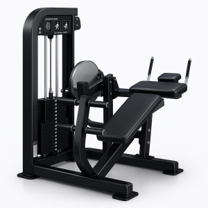 Abdominal Crunch HM17