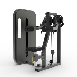 Vuelos Laterales S1005