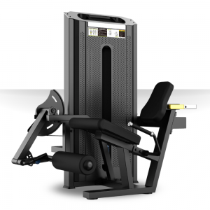 Extensión de Cuádriceps V1002