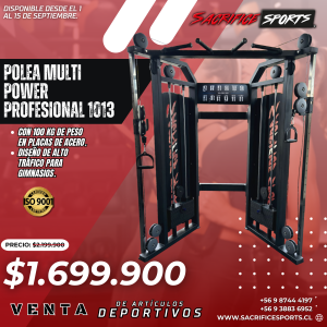 Polea Multi Power 1013