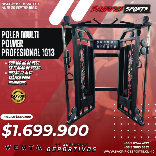 Polea Multi Power 1013