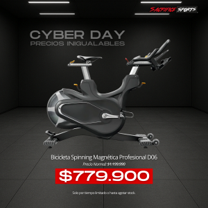 Bicicleta Spinning Magnética Profesional D06