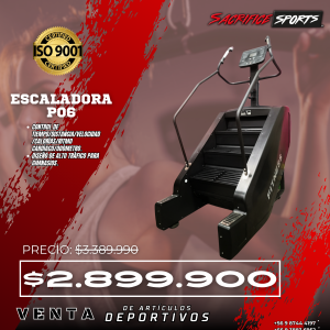 Escaladora P06