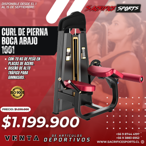 Curl de Pierna Boca Abajo 1001