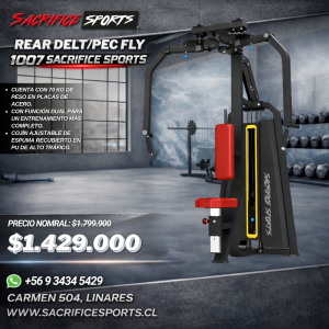 Rear Delt/Pec Fly 1007