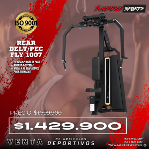 Rear Delt/Pec Fly 1007