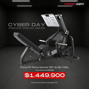 Prensa 45° Pierna Hammer 3001