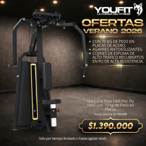 Rear Delt/Pec Fly 1007