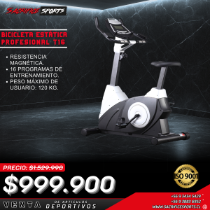 Bicicleta Spinning Estática T16