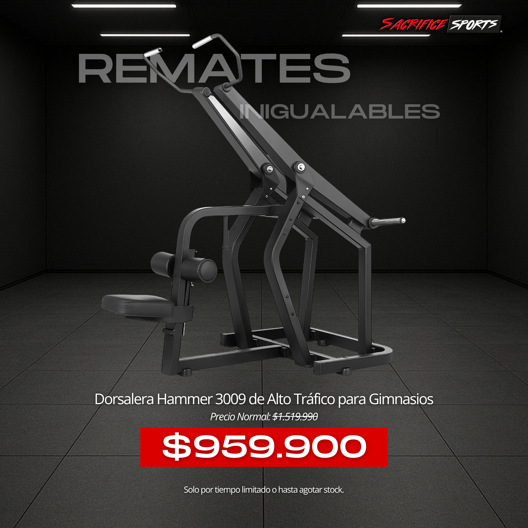 Dorsalera Hammer 3009