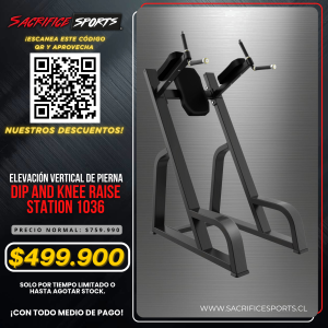 Elevación Vertical de Pierna Dip and Knee Raise Station 1036