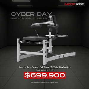 Seated Calf Raise 6023