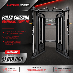 Polea Cruzada Profesional Youfit-F17