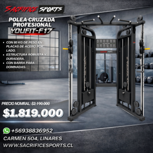 Polea Cruzada Profesional Youfit-F17