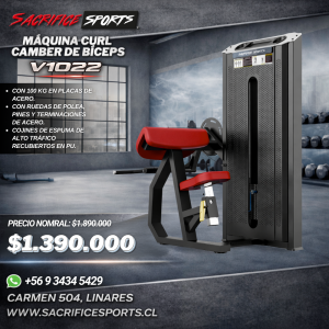 Máquina Curl Camber de Bíceps V1022