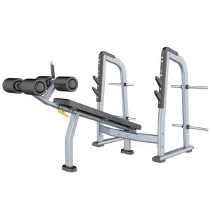 Press Banca Profesional Declinada FF41 Youfit