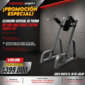Elevación Vertical de Pierna Dip and Knee Raise Station Youfit-F47