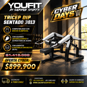 Tríceps Dip Sentado 3013 Serie Hammer 3 mm