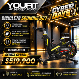 Bicicleta Spinning Magnética D27